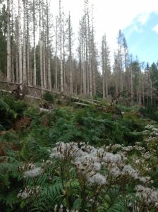 Was für ein Anblick?